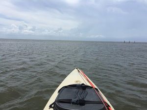 Meet your Posher, Hopie